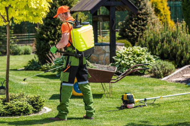 Best Lawn Pest Control  in Soh Ogden, UT